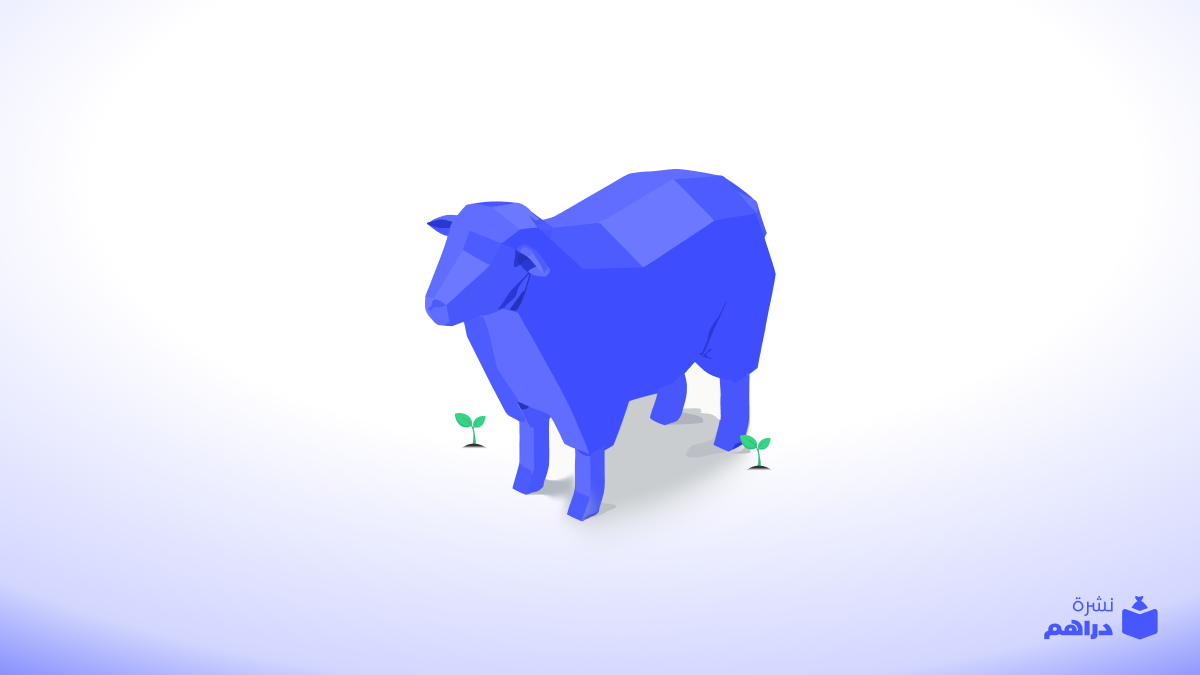 التضحية والاستثمار🐏